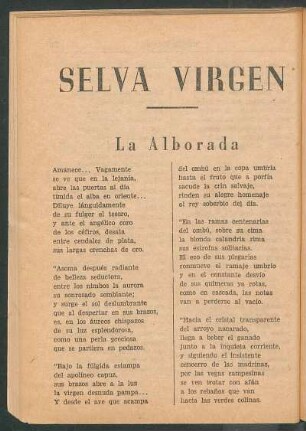 Selva virgen