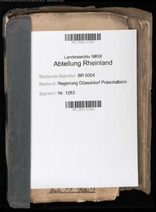 Besetzung katholischer Pfarrstellen landesherrlichen oder strittigen Patronats Bd. 4