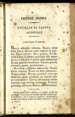 Ordine Primo Uccelli Di Rapina Accipitres