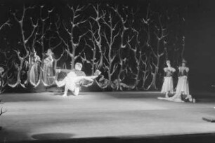 Szenenbilder aus dem Ballett "Dornröschen" von P. Tschaikowski, Städtische Oper Berlin, 1955