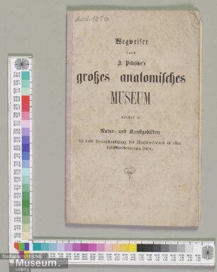 Wegweiser durch A. Präuscher´s großes anatomisches Museum