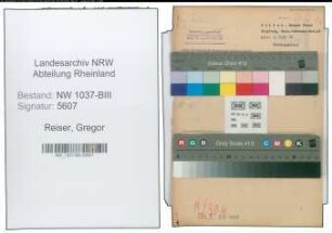 Entnazifizierung Gregor Reiser , geb. 08.07.1906 (Ingenieur)