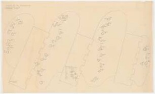 Deutsche Gartenschau 1950 auf dem Killesberg, Stuttgart: Pflanzplan 1:100 - Eingangshof, Lilienverteilung