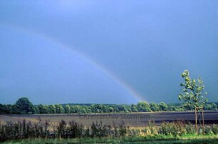 Tangstedt in Richtung Wulksfelde: Feld mit Regenbogen