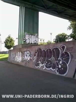 "SeNO