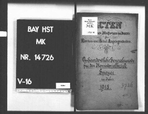 Außerordentliche Generalsynode für den Konsistorialbezirk Speyer im Jahre 1918.