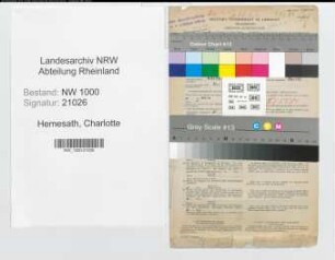 Entnazifizierung Charlotte Hemesath, geb. 13.04.1914 ()