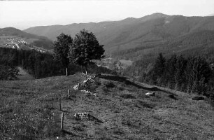 Blick von Eck auf Bohrer, Horben und Freiburg