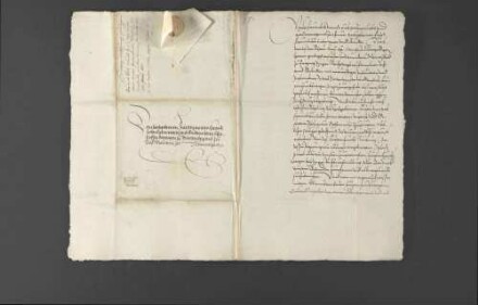 Pfalzgraf Wolfgang berät sich Herzog Christoph von Württemberg, wie er sich bezüglich des ihm nach dem Tode Ottheinrichs zugefallenen Fürstentums Pfalz-Neuburg beim Reichstag mit der Abstimmung für die beiden Herzogtümer Zweibrücken und Neuburg und wegen des Vorsitzes mit Bayern zu verhalten habe, worüber sich der Herzog ein Gutachten von seinen Räten erstellen lässt, dem Pfalzgrafen teils persönlich antwortet und teils auf eine Zusammenkunft in Augsburg vertröstet. Auf der Rückreise von Augsburg wird der Herzog vom Pfalzgrafen nach Lauingen eingeladen und bekommt ein paar Stuten geschenkt.