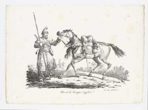 Cheval de Cosaque irregulier, Blatt 7 der Folge "Große Folge von Pferden"