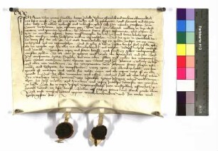 Heinz Tier genannt Dürrleber, Bürger zu Hall, bekundet: Er verkaufte um 50 Gulden rheinisch an die Priester Konrad Mettelmann, Thomas von Thurn und Johannes Welling, Treuhänder des Seelgeräts des Herrn ¿ Johannes Feur(er) (Fewr), je ein Gut zu Unteraspach und zu Steinbach, Erbinhaberin 1: Teufelmergelin, Gült: 1 Gulden rheinisch, 2 Herbsthühner, 1 Fastnachtshuhn; Erbinhaber 2: Jörg Frey, Gült: 1 Gulden rheinisch 1 Ort, 2 Herbsthühner, 1 Fastnachtshuhn - Fall = Gült.