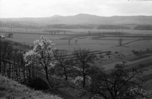 Nimburg: Blick von der Nimburg zum Kaiserstuhl