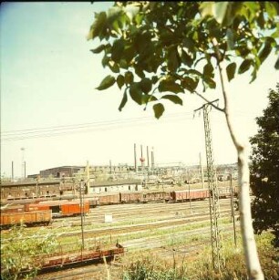 Foto, Riesa