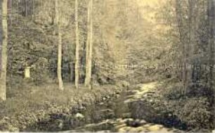 Bachlandschaft im Seifersdorfer Tal