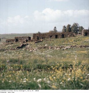 Israel: Golan