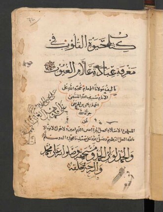 Kitāb Ḥayāh al-qulūb fī maʿrifat ʿabbādat ʿallām al-ġuyūb