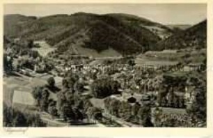 Blick auf Sitzendorf im Schwarzatal
