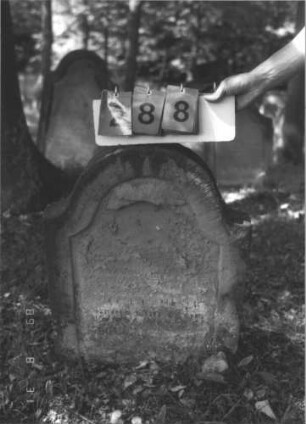 Grabstein 288 (Index: 99609925) Material: Sandstein Zustand: stark verwittert, eingesunken, weitgehender Textverlust Maße HxBxT: 70x57x9 cm Beschreibung: Stele, Konvexbogenabschluß, Schriftfeld eingetieft: Grabstein 288