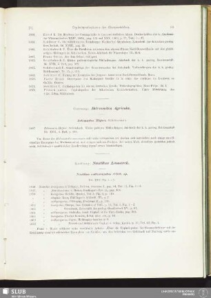 Gattung: Nautilus Lamarck