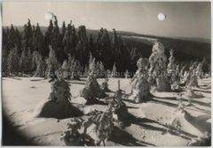 Winterlandschaft, Harz