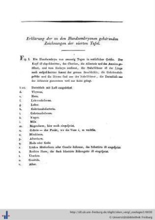 Erklärung der dazu gehörenden Zeichnungen.