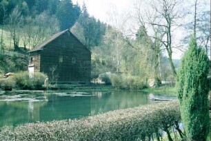 Dorfteich, Hecke, hinten Scheune