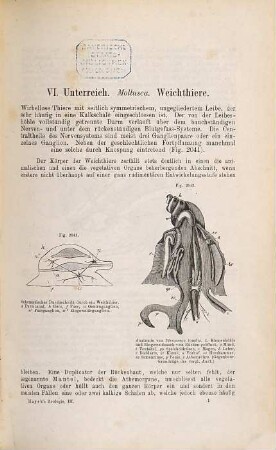 Handbuch der Zoologie, 3. Mollusca, vertebrata anallantoidica