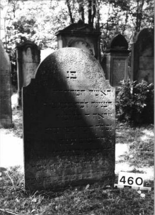 Grabstein 460 (Index: 99629961) Material: Sandstein Zustand: leicht verwitt/eingesunk/Textverlust Maße HxBxT: 94x64x7 cm Beschreibung: Stele mit eingezogenem Rundbogenabschluß: Grabstein 460