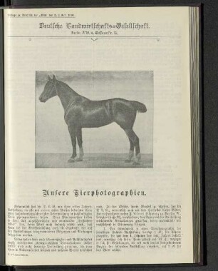 Beilage zu Stück 34 der „Mitt. der D.L.S.", 1905.