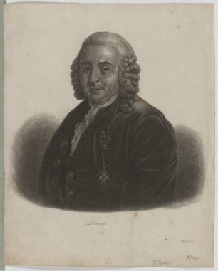 Bildnis des Carl von Linné