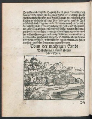Vonn der mechtigen Stadt Babylonia/ unnd ihrem hohen Thurn.