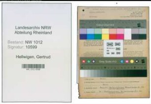Entnazifizierung Gertrud Hellwigen , geb. 24.02.1884 ()