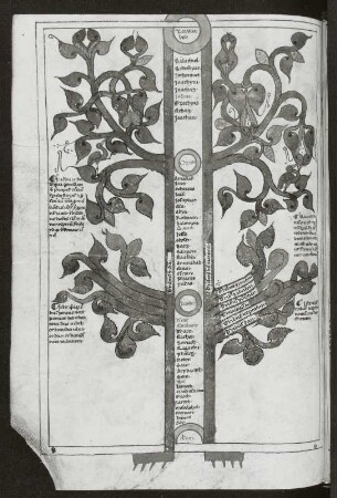 Illustration mit Text, Blatt 87v