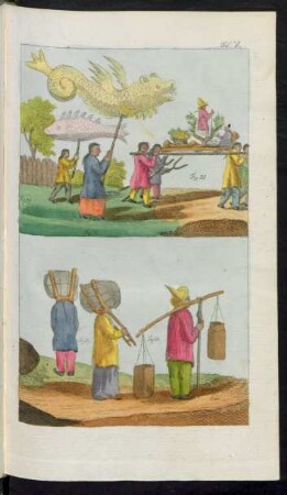 Taf. X. Fig. 35. - Fig. 38.