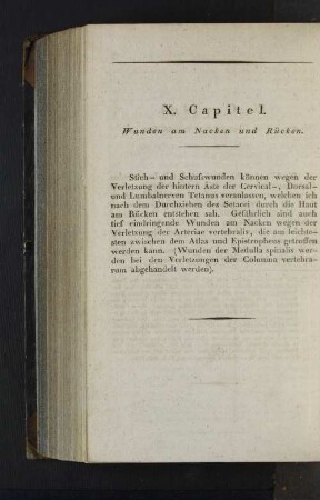 X. Capitel. Wunden am Nacken und Rücken.