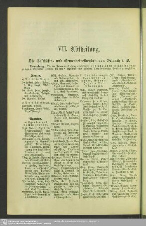VII. Abtheilung. Berufsklassen und Gewerbebetriebe : VII. Abtheilung. Die Geschäfts- und Gewerbetreibenden von Oelsnitz i. V.