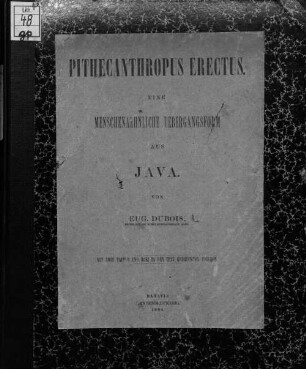 Pithecanthropus erectus