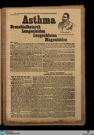 Badische Landes-Zeitung