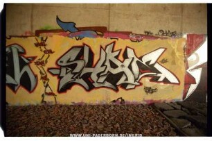 SHAE | PHoGEL FUFEL BEATS ANUS DEAR TBK *SHAE! BO! | 2901