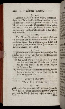 Fünftes Capitel. Von den Steinen.