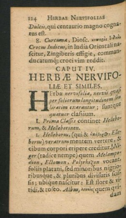 Caput IV. Herbae Nervifoliae et Similes.