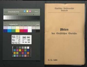 Ehefrau Sophie Wilhelmine Johanne Sprute, eheliche Tochter des Einliegers Friedrich Reineke in Oberschönhagen gegen ihren Ehemann Johann Friedrich Heinrich Adolf Sprute, Halbmeier Nr. 7 Schönemark (bei Trauung Witwer), beide Ehen blieben kinderlos, wegen einer Ehescheidung (14.3.1861)