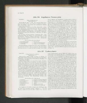 Abb. 104 Angeborene Nierenzysten