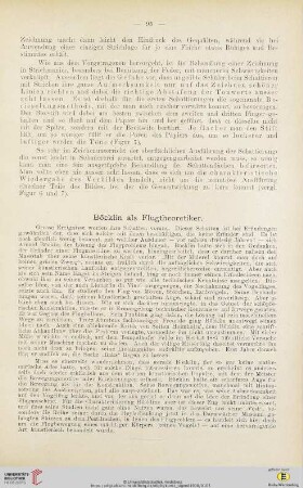 2: Böcklin als Flugtheoretiker
