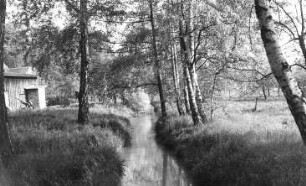 Triebischtal-Munzig-Nieder-Munzig. Mühlgraben