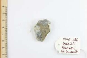 Silex
