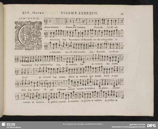 XIV. Cantate Domino canticum novum