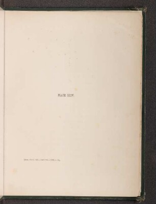 Plate XXXV.