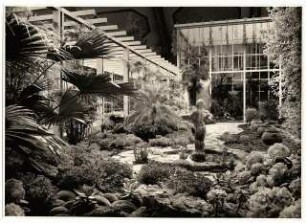 Ausstellungsgarten Deutsche Gartenbau-Ausstellung 1933, Berlin: Innenansicht Ausstellungshalle, Exotischer Wassergarten