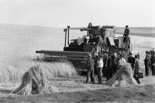 Radeberg, Ankunft von sowjetischen Mähdreschern, Einsatz der Mähdrescher auf dem Volksgut (VG) Seifersdorf, Juli 1952